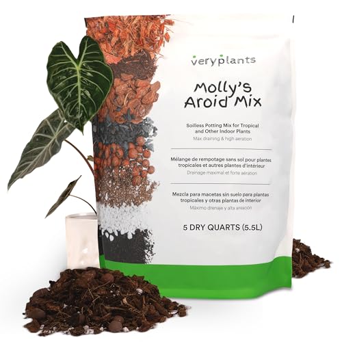 Best Aroid Potting Mix