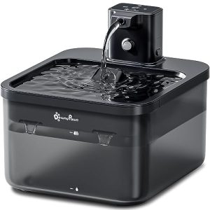 Best Battery Powered Water Fountain
