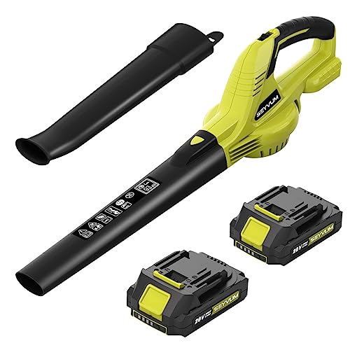 Best Budget Cordless Leaf Blower