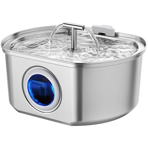 Best Cat Water Fountain 2025
