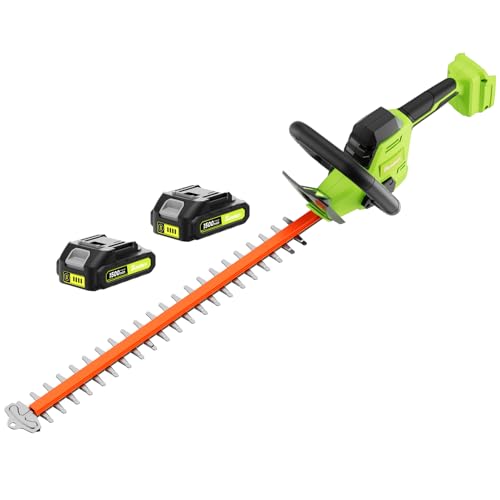 Best Cordless Electric Hedge Trimmer