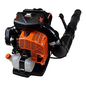Best Echo Leaf Blower