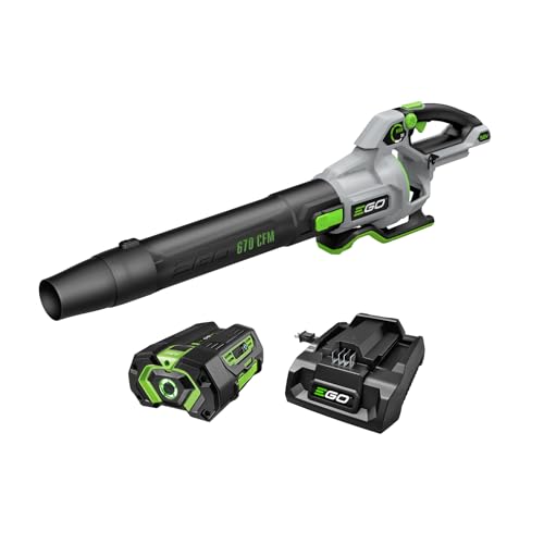 Best Ego Leaf Blower