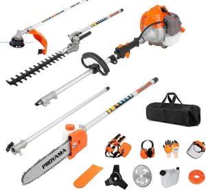 Best Gas Pole Hedge Trimmer