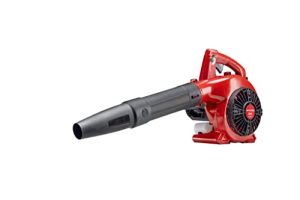Best Gasoline Powered Leaf Blower