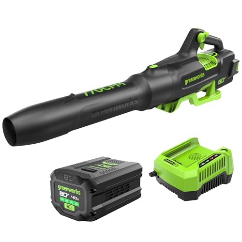 Best Greenworks Leaf Blower