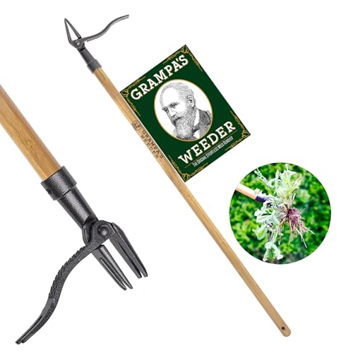 Best Hand Weeder