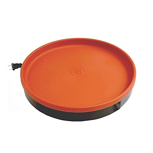 Best Heated Bird Bath for Winter