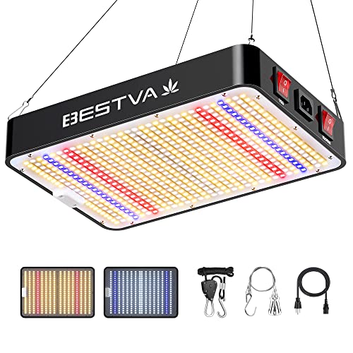Best Indoor Grow Lights for Cannabis