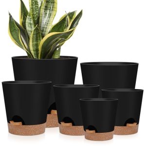 Best Indoor Plant Pots