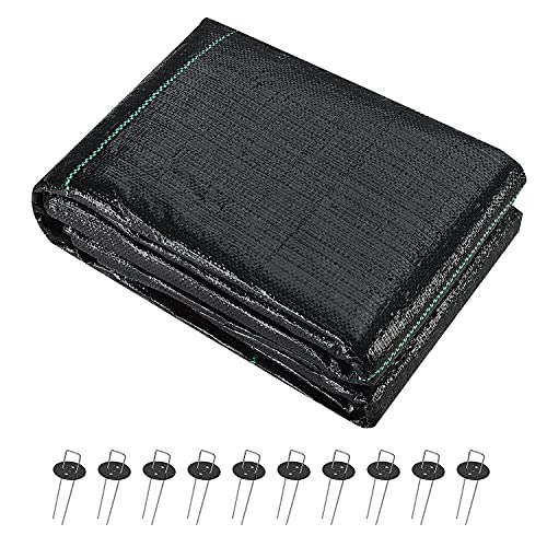 Best Landscape Fabric to Kill Grass
