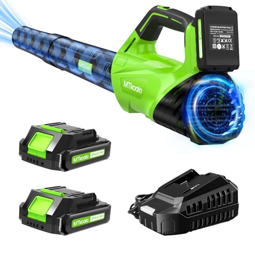 Best Leaf Blower 2025