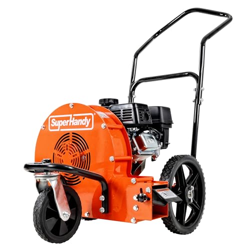 Best Leaf Blower Walk behind