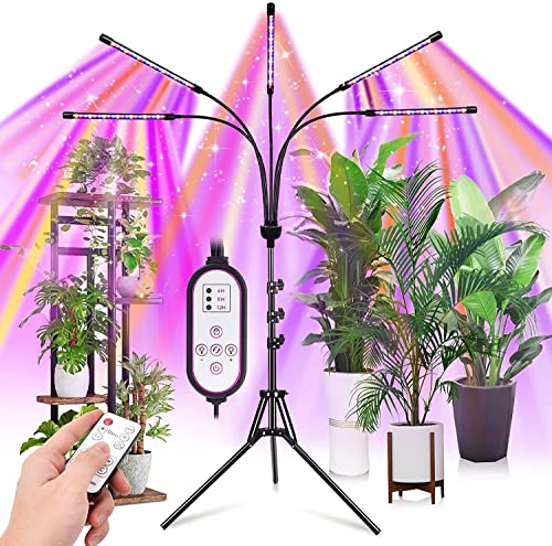 Best Lights for Growing Weed Indoors