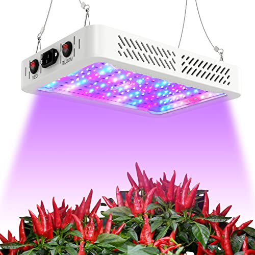 Best Lights to Grow Indoor Weed
