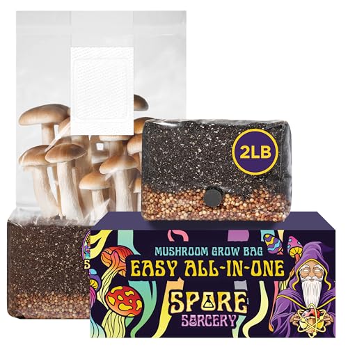 Best Magic Mushroom Grow Kits