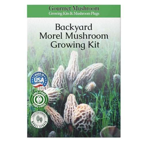 Best Morel Mushroom Growing Kit