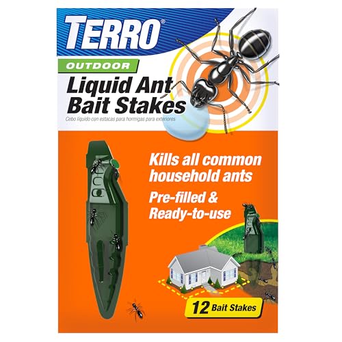 Best Outdoor Ant Traps