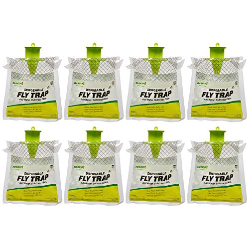 Best Outdoor Fly Trap