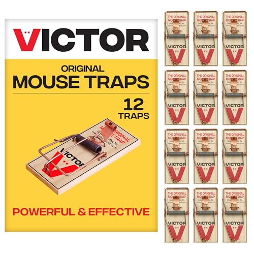 Best Outdoor Mouse Traps of 2025