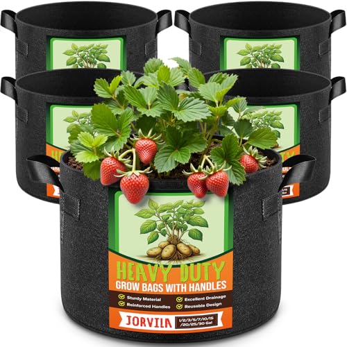Best Outdoor Plant Pots