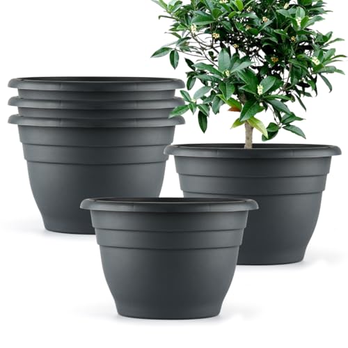 Best Outdoor Pots for Plants