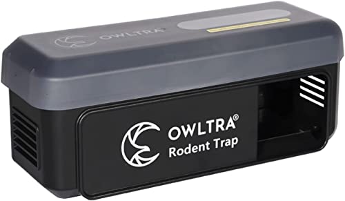 Best Outdoor Rat Trap