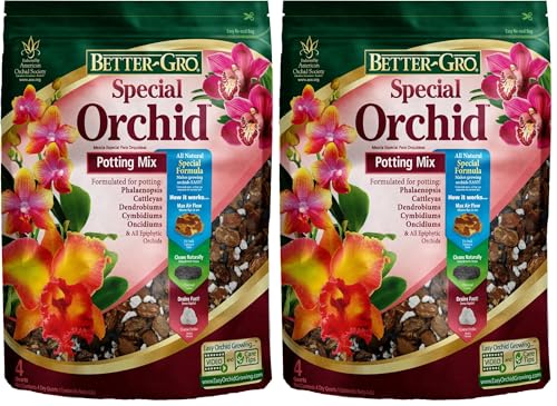 Best Phalaenopsis Orchid Potting Mix