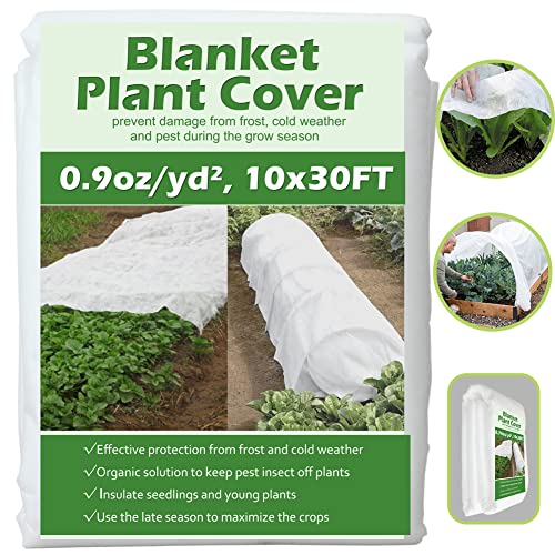 Best Plant Covers for Winter