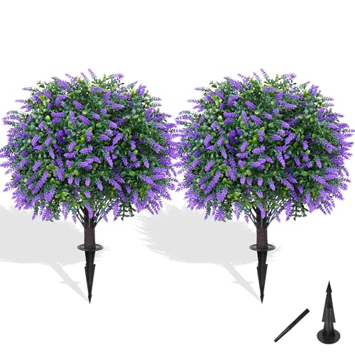 Best Plants for Covered Porch