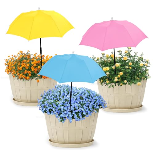 Best Plants for Shade Pots