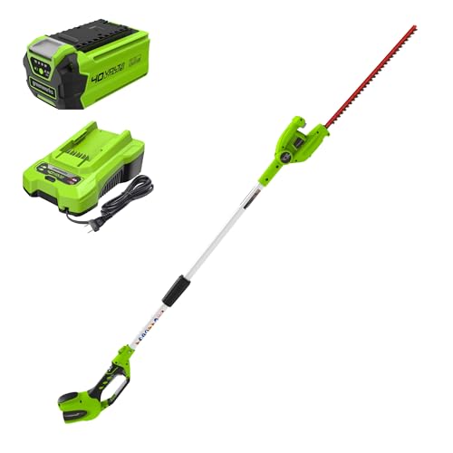 Best Pole Hedge Trimmer