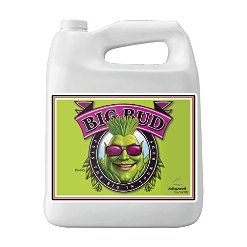 Best Pot Plant Fertilizer