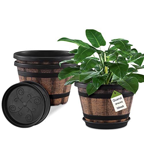 Best Pots for Outdoor Plants
