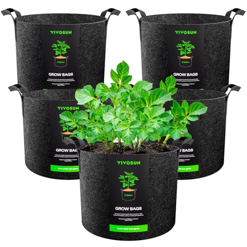 Best Pots for Planting Tomatoes