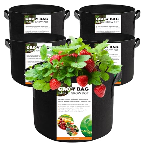 Best Pots for Strawberry Plants