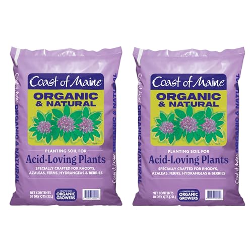 Best Potting Mix for Azaleas