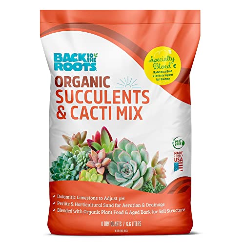 Visual Reference: Best Potting Mix For Cacti Top Organic And Miracle Gro