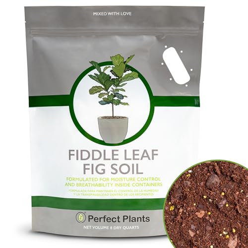 Best Potting Mix for Fiddle Leaf Fig