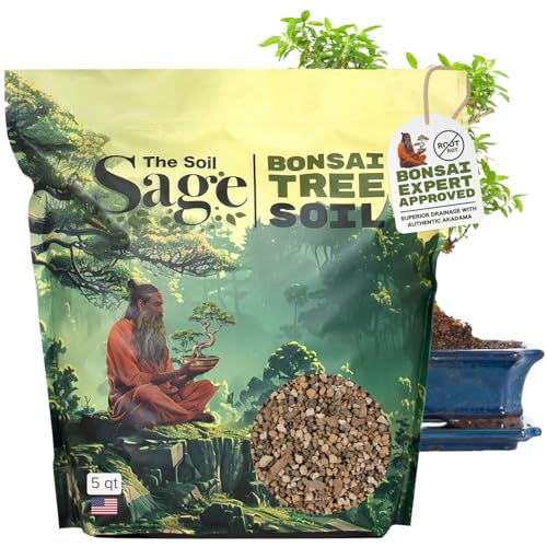 Best Potting Mix for Japanese Maples