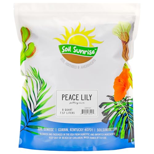 Best Potting Mix for Peace Lily