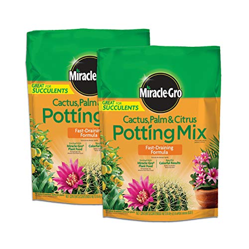Best Potting Mix for Plumeria