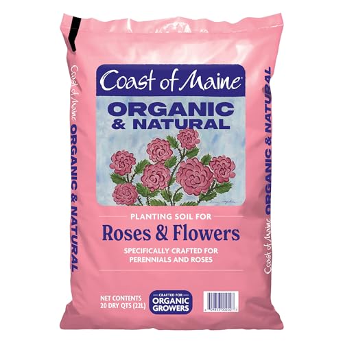 Best Potting Mix for Roses