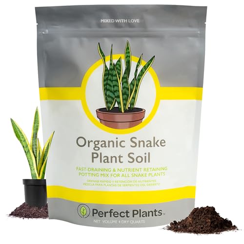 Best Potting Mix for Snake Plant