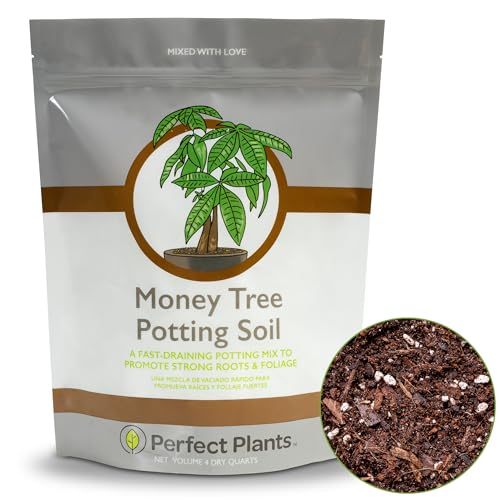 Best Potting Mix for Trees