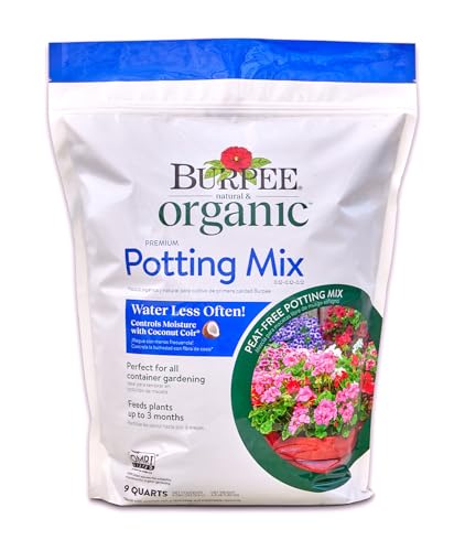 Best Potting Mix for Vegetables