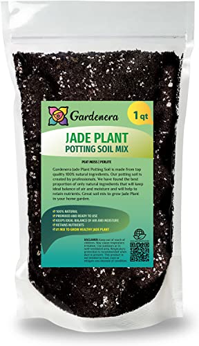 Best Potting Soil for Jade Plant