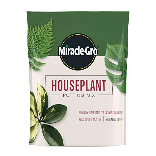 Best Potting Soil for Monstera Plants