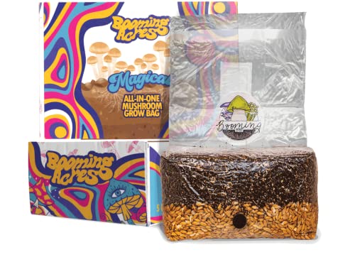 Best Psychedelic Mushroom Grow Kit
