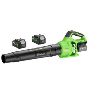 Best Rated Battery Powered Leaf Blower
